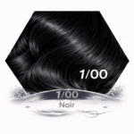 Coloration cheveux noir 1/00